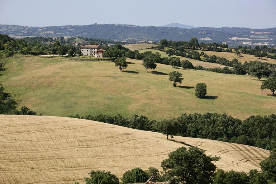 Agriturismo D' Epoca La Marianella Catabbio Bilik gambar